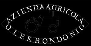 La Berchialla di Olek Bondonio