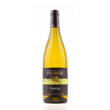 Riesling - Bianco