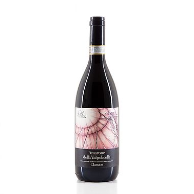 Amarone della Valpolicella - Rosso