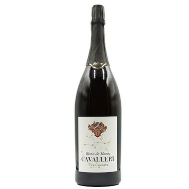 Franciacorta Brut Blanc de  - Spumante
