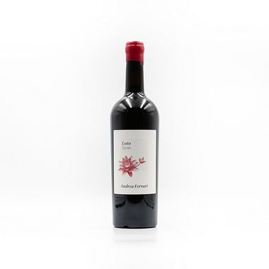 Loto Syrah Ticino  - Rosso