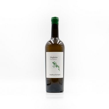 Mughetto Sauvignon Ticino - Bianco