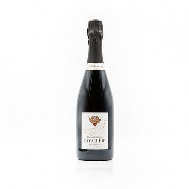 Franciacorta Brut Blanc de  - Spumante