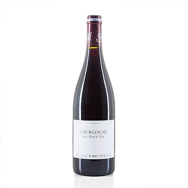 Bourgogne Les Pince Vin - Rosso