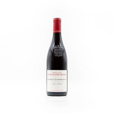 Gevrey-Chambertin Aux Etelois - Rosso